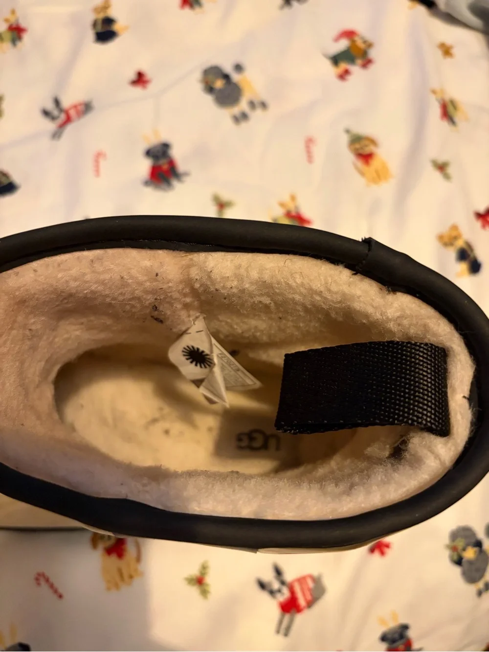 UGG Short Shearling Boots in Cream with Black Accents